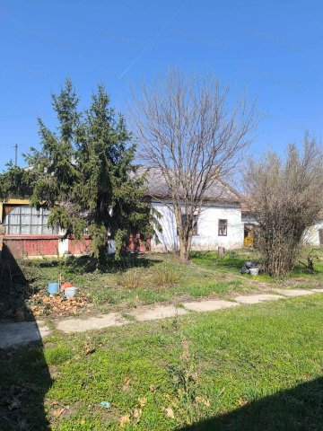 Eladó családi ház, Cibakházán 12 M Ft, 3+1 szobás