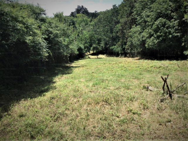 Eladó telek, Sukorón 12 M Ft / költözzbe.hu