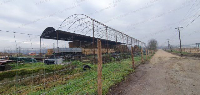 Eladó telek, Lébényben 99.999 M Ft / költözzbe.hu