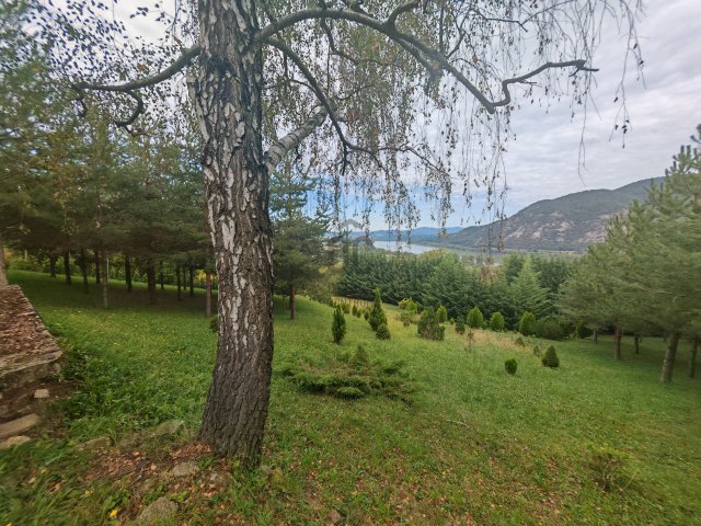 Eladó telek, Dömösön 29 M Ft / költözzbe.hu