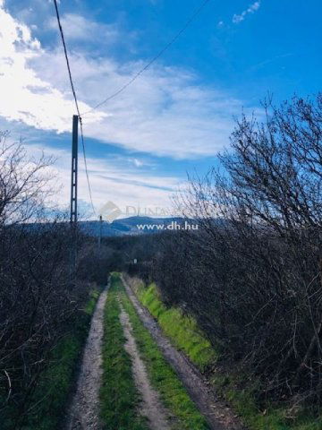 Eladó családi ház, Pécsett 6.9 M Ft, 1 szobás
