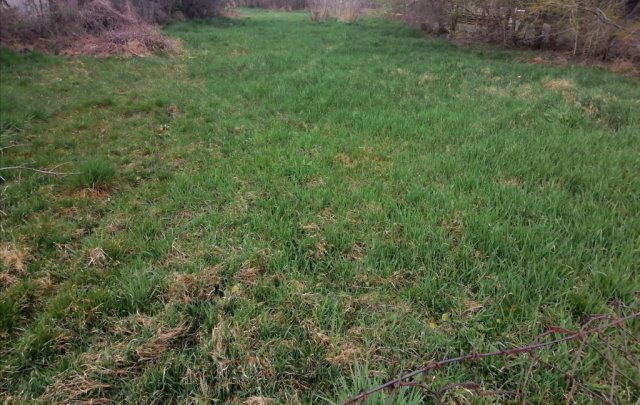 Eladó telek, Pusztaszabolcson 6.5 M Ft / költözzbe.hu