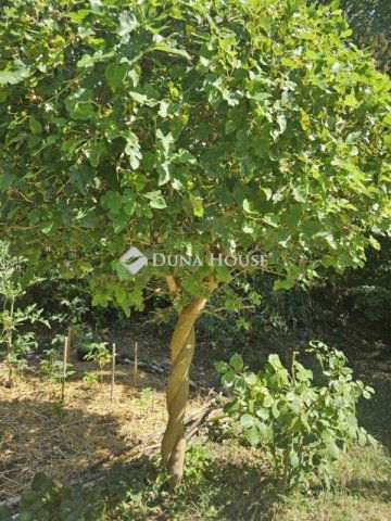 Eladó nyaraló, Tahitótfalun 48 M Ft, 2 szobás