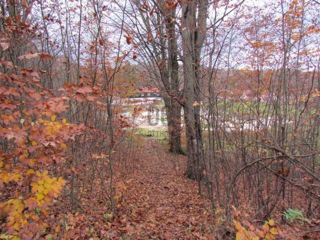 Eladó telek, Bükkszentkereszten 7.6 M Ft / költözzbe.hu