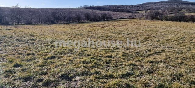 Eladó mezogazdasagi ingatlan, Törökbálinton 14.9 M Ft