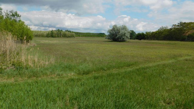 Eladó mezogazdasagi ingatlan, Szegeden, Külterület 15.5 M Ft