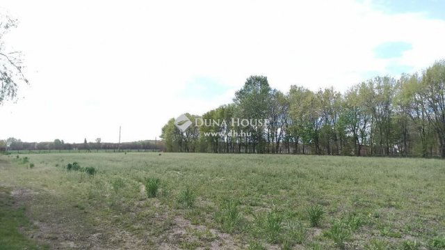 Eladó mezogazdasagi ingatlan, Kocséren 135 M Ft, 5 szobás