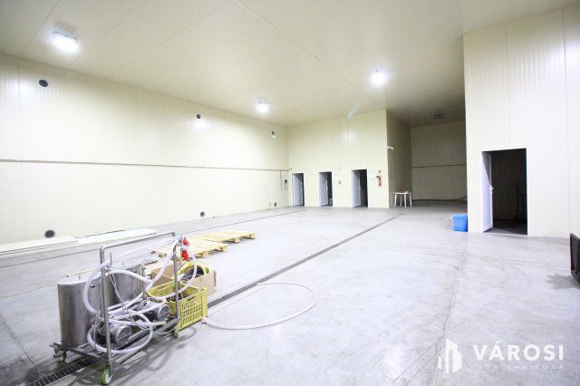 Eladó ipari ingatlan, Hódmezővásárhelyen 175 M Ft