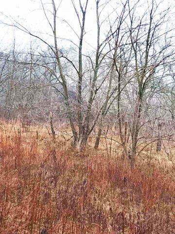 Eladó telek, Óbarokon 14.3 M Ft / költözzbe.hu