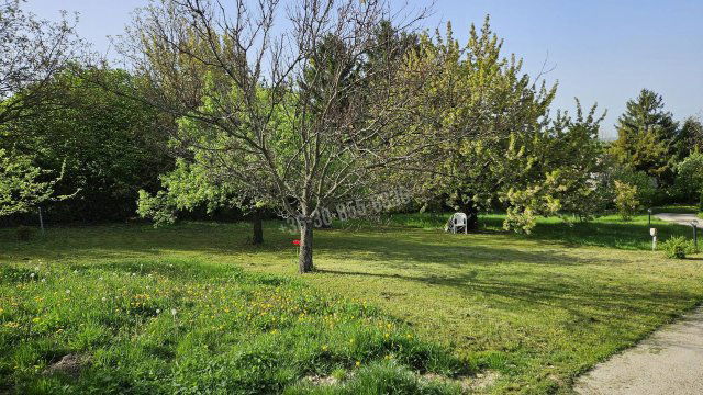 Eladó telek, Budakeszin 69 M Ft / költözzbe.hu