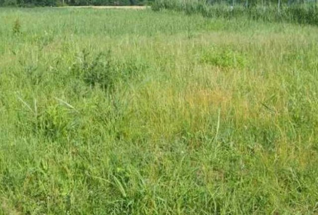 Eladó telek, Siófokon 39.9 M Ft / költözzbe.hu