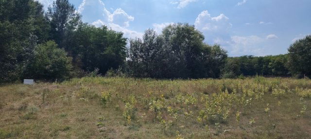 Eladó telek, Lajosmizsén 2.99 M Ft / költözzbe.hu
