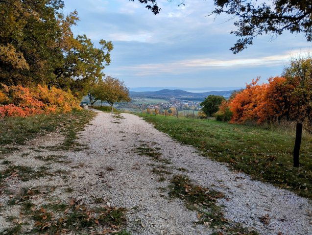 Eladó családi ház, Pécselyen 229 M Ft, 4 szobás