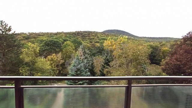 Kiadó téglalakás, albérlet, II. kerületben, Kuruclesi úton