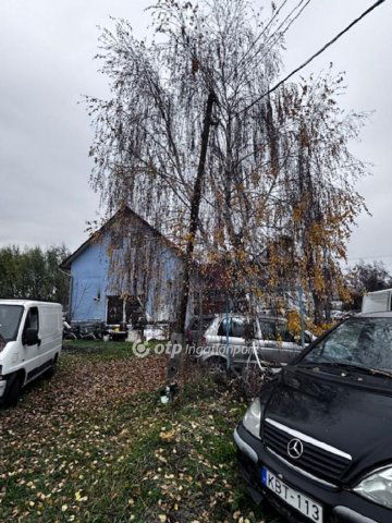 Eladó családi ház, Monoron 390 M Ft, 7 szobás