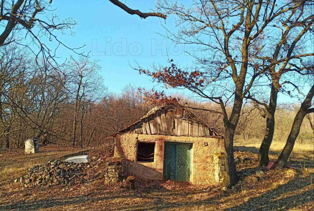 Eladó mezogazdasagi ingatlan, Vászolyon 17.5 M Ft