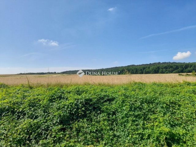 Eladó telek, Isaszegen 105 M Ft / költözzbe.hu