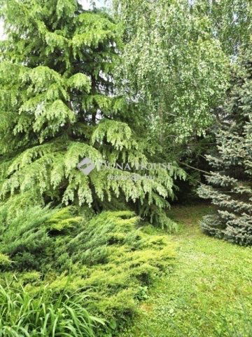 Eladó családi ház, Kistótfalun 44.9 M Ft, 3 szobás