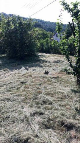 Eladó telek, Szárligeten 13.5 M Ft / költözzbe.hu