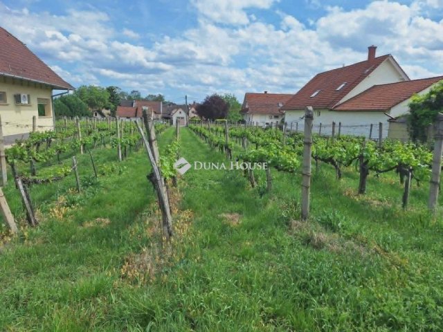 Eladó telek, Villányban 29.9 M Ft / költözzbe.hu