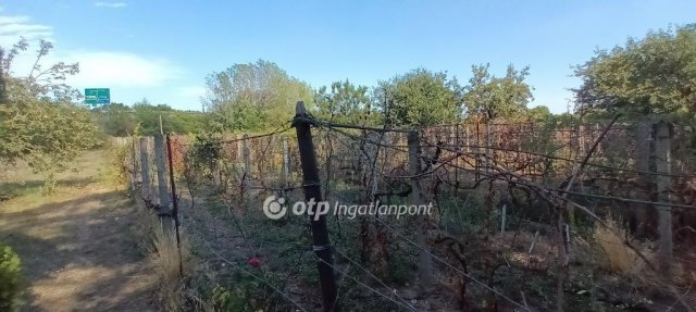 Eladó mezogazdasagi ingatlan, Érden 199 M Ft, 3 szobás
