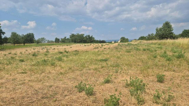 Eladó mezogazdasagi ingatlan, Kecskéden 4.4 M Ft