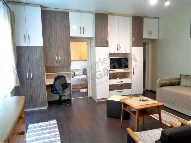 Kiadó téglalakás, albérlet, XI. kerületben, Dávid Ferenc utcában