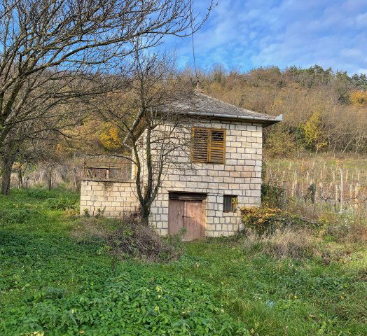 Eladó családi ház, Zalaszentgróton 9.9 M Ft, 1 szobás