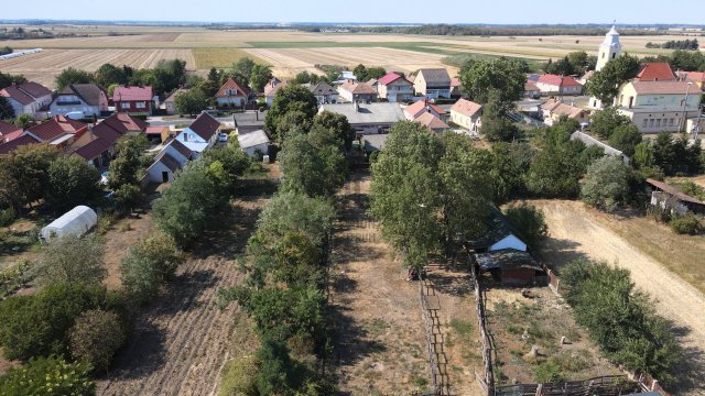 Eladó családi ház, Pálin 119.9 M Ft, 7 szobás