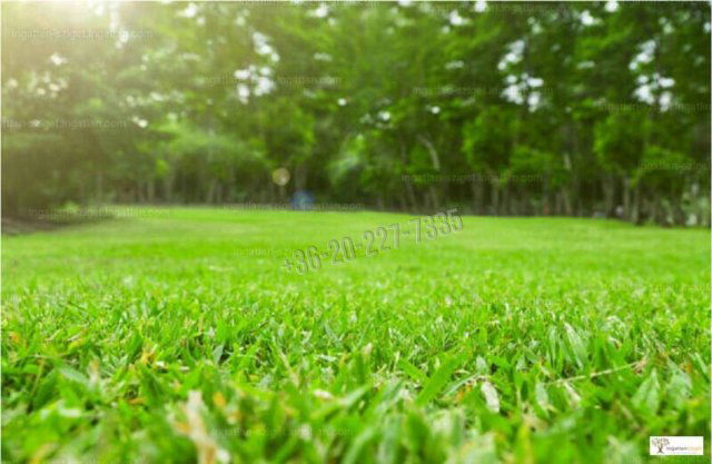 Eladó telek, Ráckevén 1.25 M Ft / költözzbe.hu