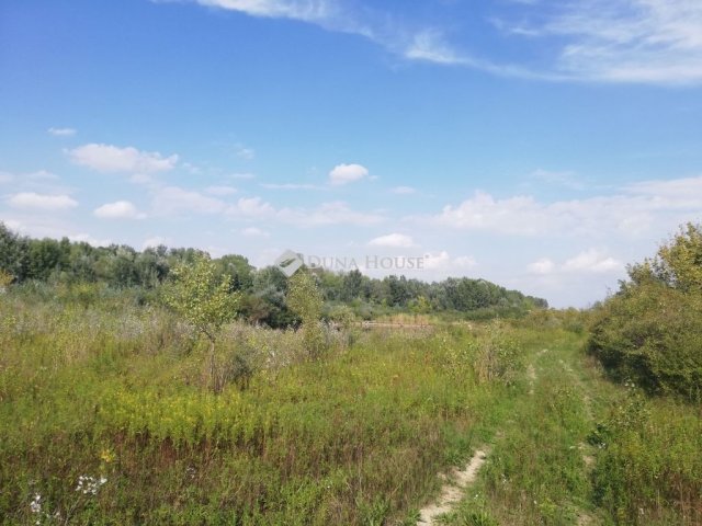 Eladó ipari ingatlan, Dunaalmáson 50.673 M Ft