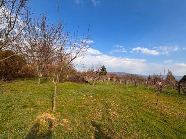 Eladó családi ház, Pellérden 24.9 M Ft / költözzbe.hu