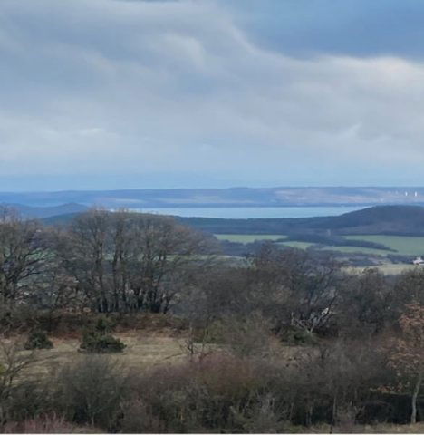 Eladó nyaraló, Pécselyen 54.99 M Ft, 2 szobás