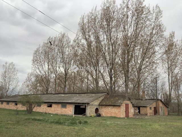 Kiadó mezogazdasagi ingatlan, Bácsalmáson 100 E Ft / hó