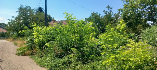 Eladó telek, Poroszlón 8 M Ft / költözzbe.hu