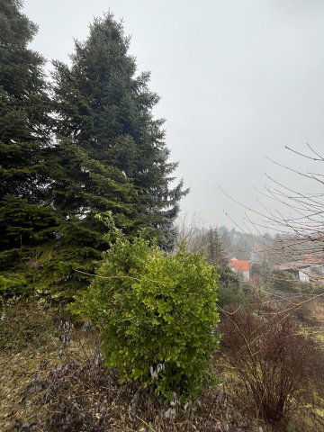 Eladó nyaraló, Szentendrén 59 M Ft, 1+2 szobás