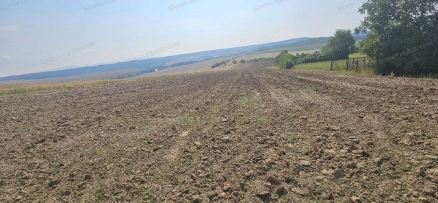 Eladó mezogazdasagi ingatlan, Szomoron 7 M Ft