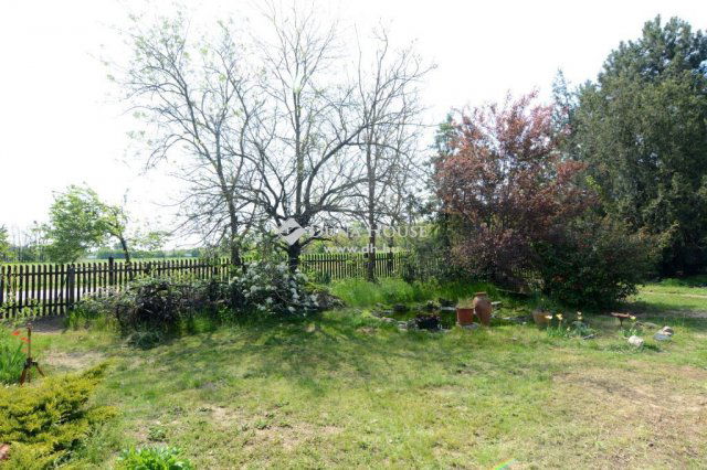 Eladó családi ház, Lajosmizsén 34.9 M Ft, 3 szobás