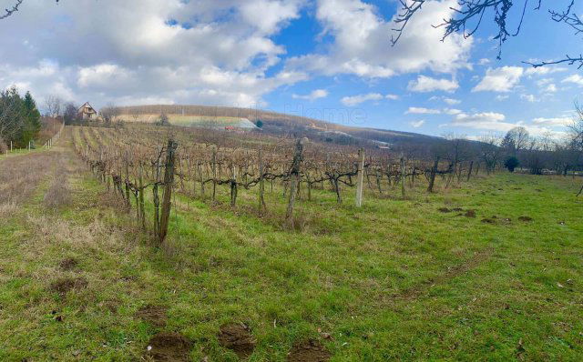 Eladó mezogazdasagi ingatlan, Balatonlelleén 32.5 M Ft