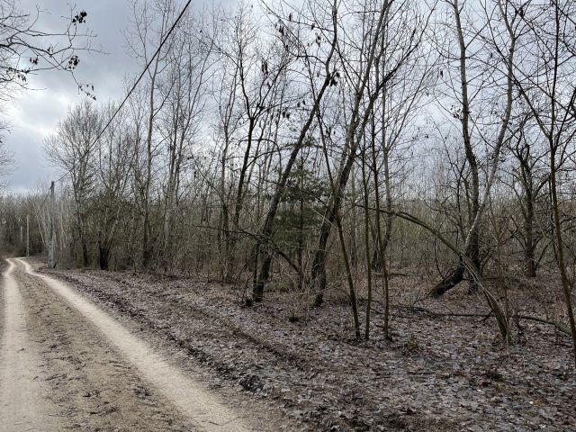 Eladó telek, Orgoványon 12 M Ft / költözzbe.hu