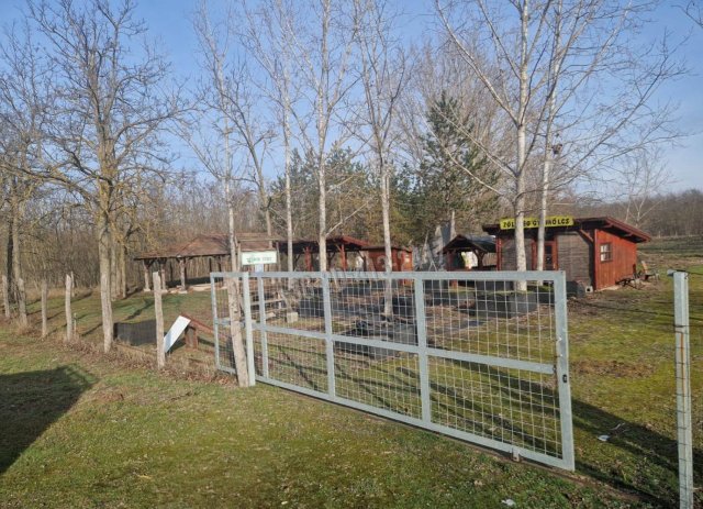 Eladó mezogazdasagi ingatlan, Táborfalván 19.5 M Ft