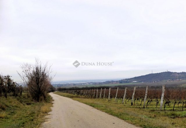 Eladó mezogazdasagi ingatlan, Nadapon 15 M Ft