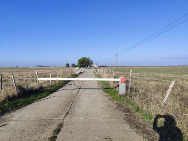 Eladó családi ház, Földesen 160 M Ft, 6 szobás