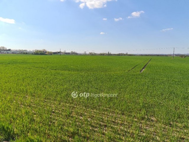 Eladó mezogazdasagi ingatlan, Szigetszentmiklóson 99.9 M Ft