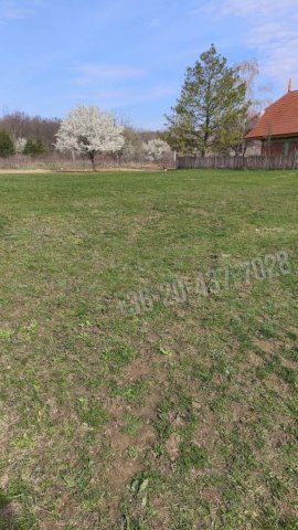 Eladó telek, Budakeszin 120 M Ft / költözzbe.hu