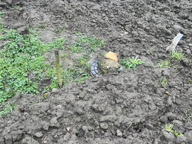 Eladó telek, Dobozon 1.49 M Ft / költözzbe.hu