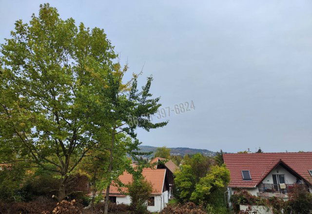 Eladó családi ház, Nagykovácsiban 550 M Ft, 12 szobás