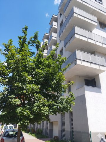 Eladó téglalakás, Budapesten, XIII. kerületben 85.9 M Ft