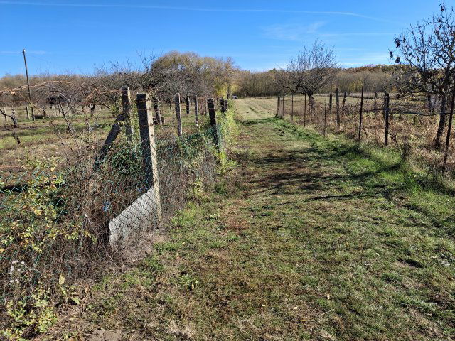 Eladó mezogazdasagi ingatlan, Debrecenben 6.5 M Ft