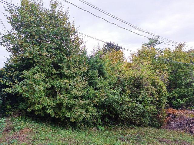 Eladó telek, Solymáron 81.9 M Ft / költözzbe.hu